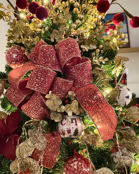 Laço vermelho grande entre galhos dourados e frutinhas no topo da árvore